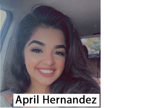 ilroofingacademy, ILLINOIS Roofing Academy, getting your roofing license, roofing license exam. roofing license practice text, illinois roofing license, how to get a roofing license in illinois, roofing test illinois, get a roofing license illinois, roofing test questions, illinois roofing license test dates 2021, start roofing business il, how much is a roofing license in IL, Do roofers need to be licensed in Illinois, How do I get an Illinois roofing license?, How long does it take to get a roofing license in Illinois?, Does Illinois require roofing license?, Prepare roofing license illinois exam, How much does it cost to get a roofing license in Illinois?, Illinois Roofing LICENSE Exam Prep